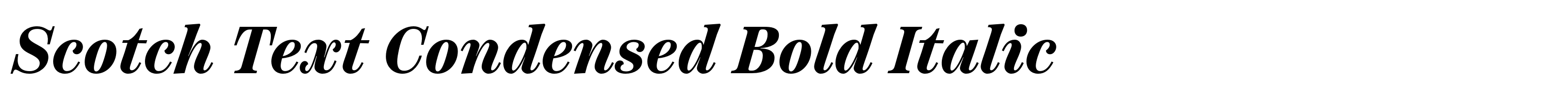 Scotch Text Condensed Bold Italic